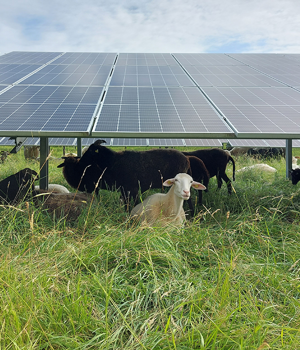Flaechenpacht fuer weitere erneuerbare Energien Projekte_Eberwerk